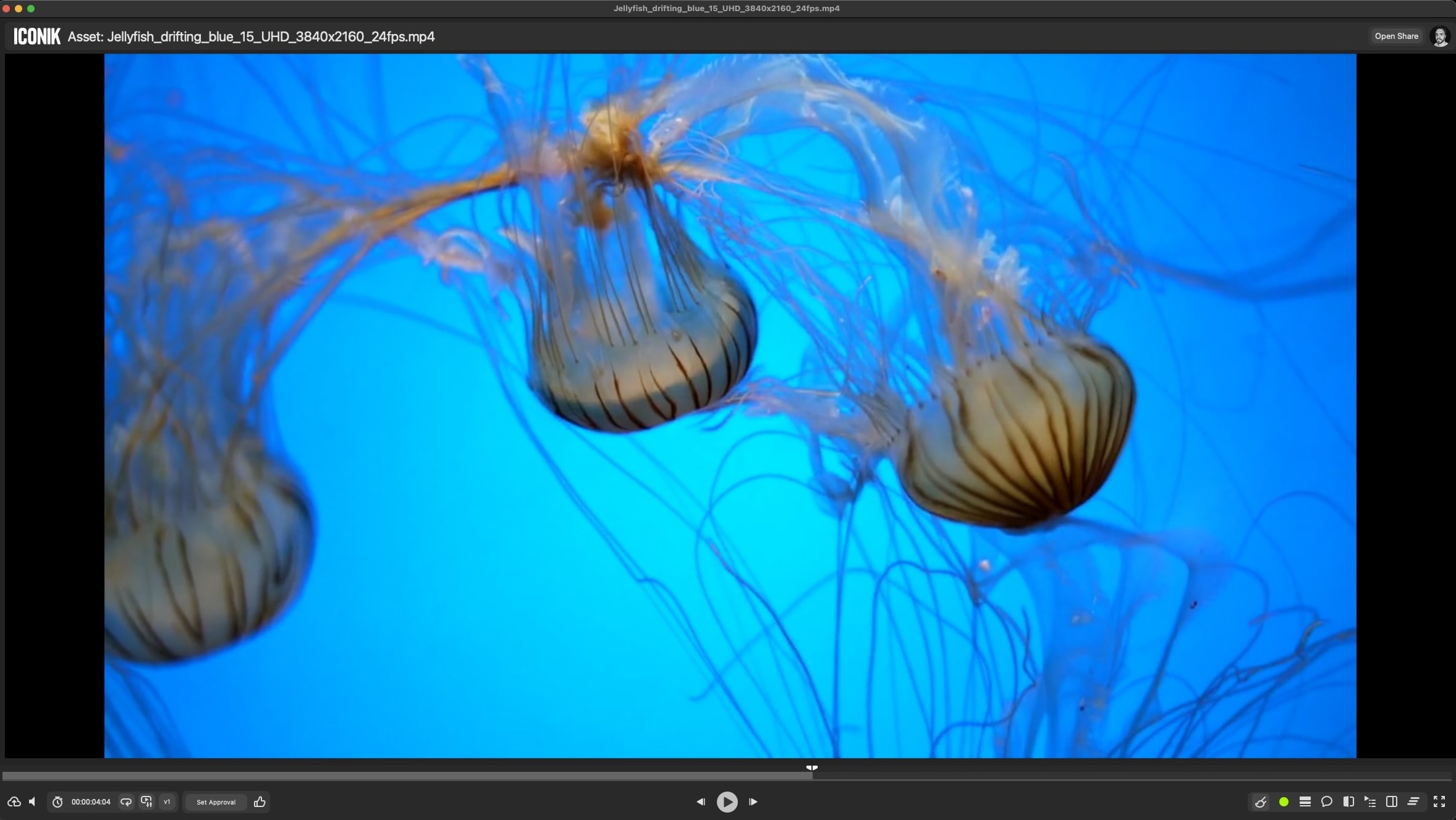 Iconik Browser – hidden.jpeg